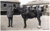 A British Soldier and his Horse Curragh Camp 1910