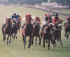 The Derby at the Curragh Racecourse