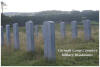 Curragh Camp Cemetery - 22nd September 2008 ( Matt McNamara)