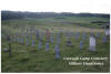 Curragh Camp Cemetery - 22nd September 2008 ( Matt McNamara)