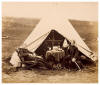 British Troops Camping on The Curragh around 1885