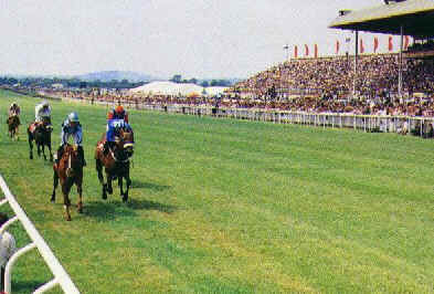 Finish at the Curragh