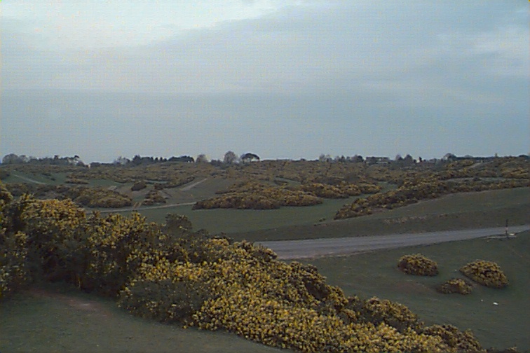 Curragh Plains close to Donnollys Hollow